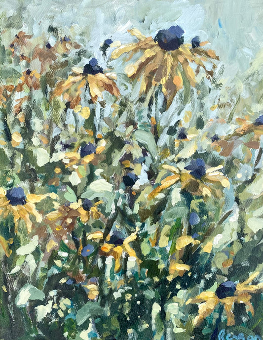Black Eyed Susan