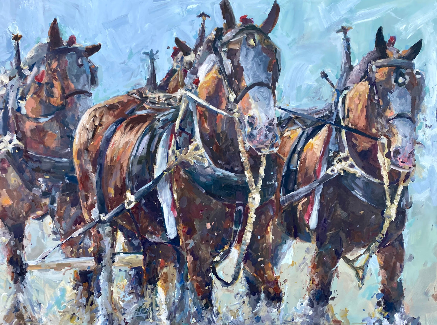 Budweiser Clydesdales