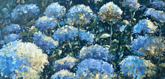 Close-up of blue and white hydrangea flowers with green leaves.