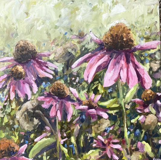 Wild Coneflowers